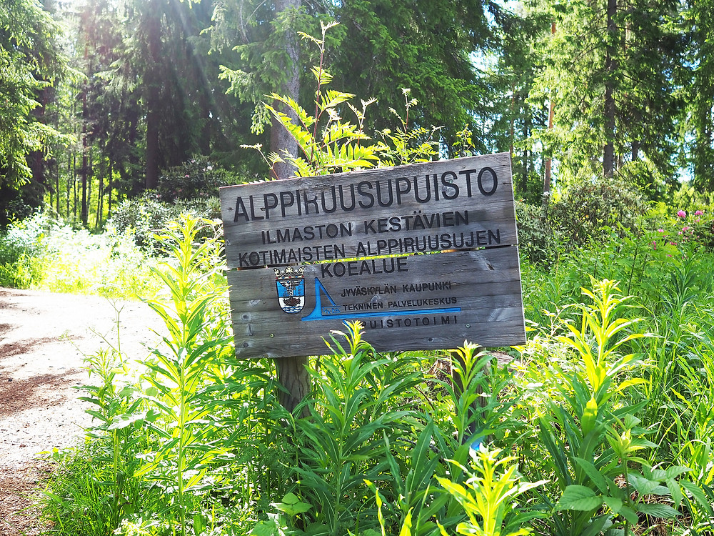 Jyväskylän alppiruusupuisto kyltti