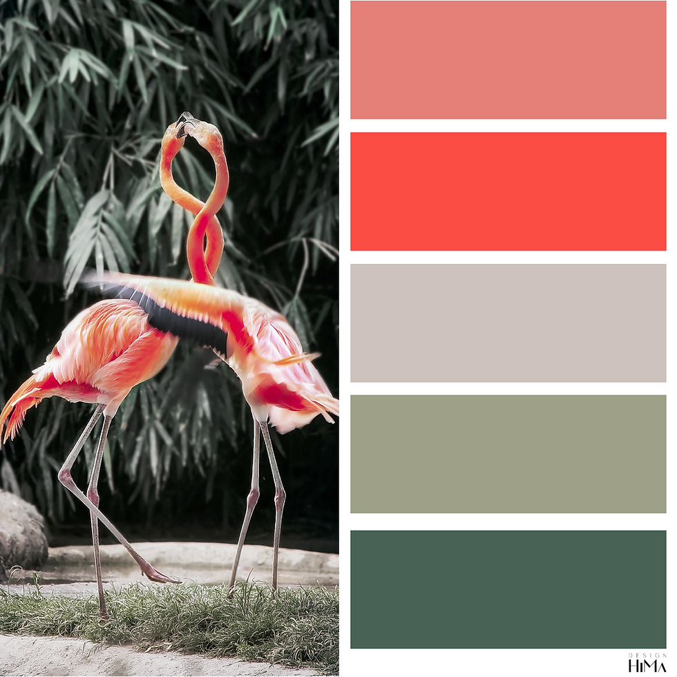 Tikkurila Flamingo värikartta