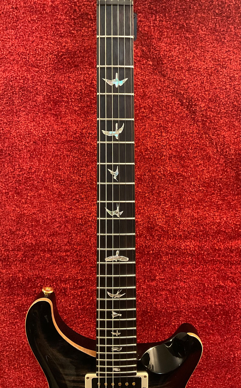 Miniature : PRS Custom 24 BB 10 Top USA