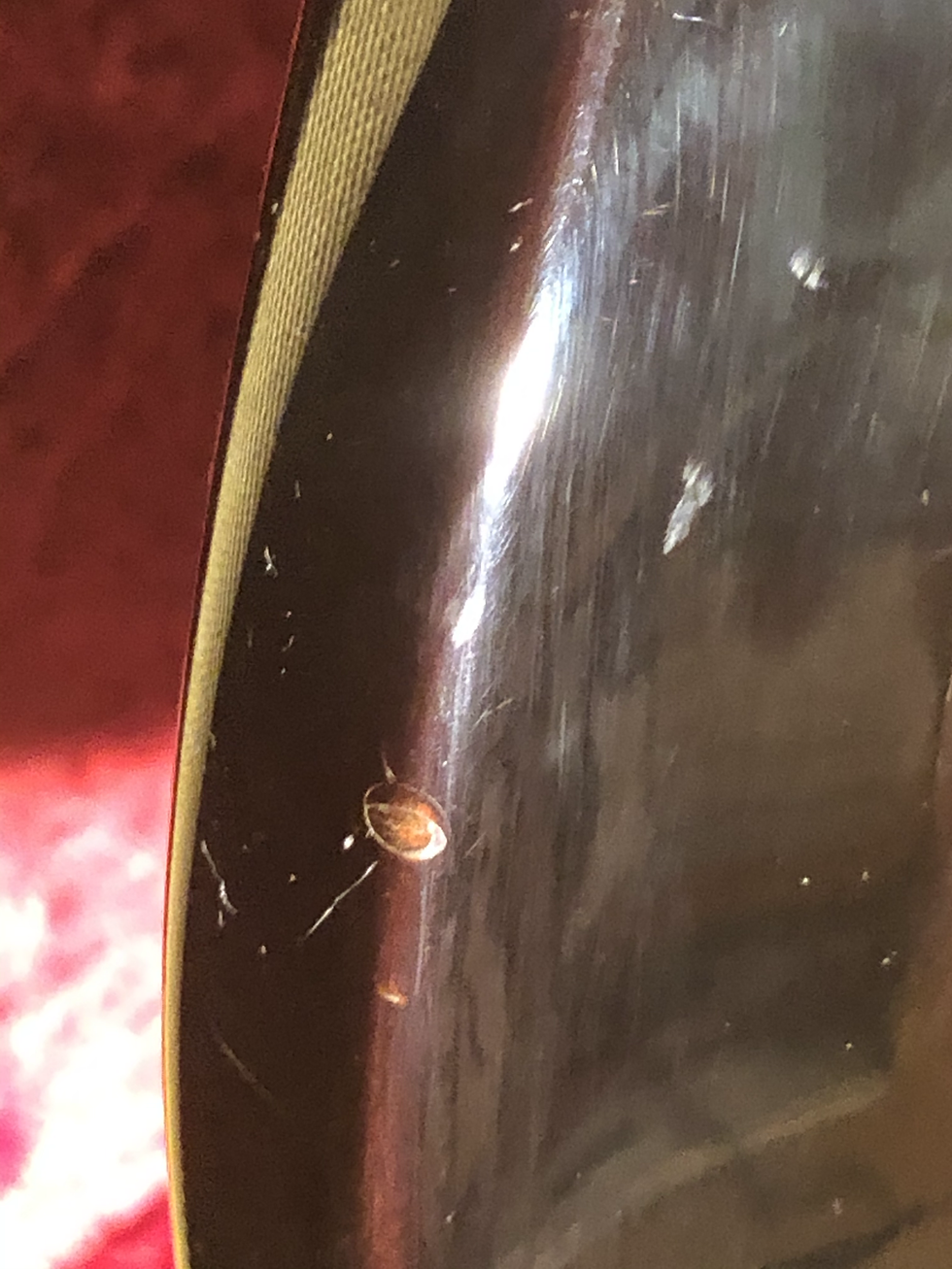 Miniature : Washburn Idol wi-64 pl collector same custom shop