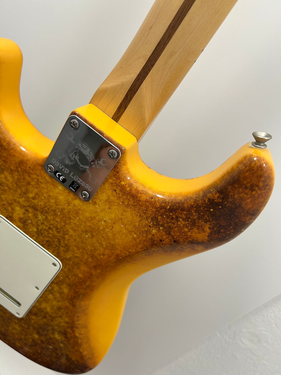 Miniature : Fender stratocaster David Lozeau Art limited edition Namm 2015