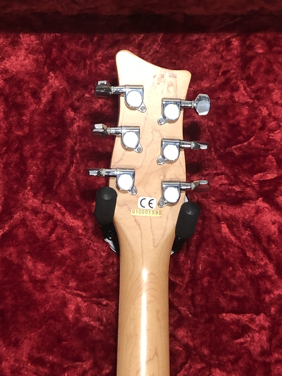 Miniature : Danelectro Sparkle with distortion echo tremolo chorus
