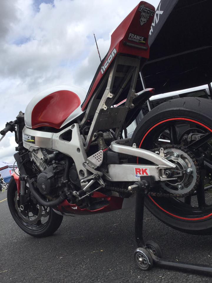 dans le paddock