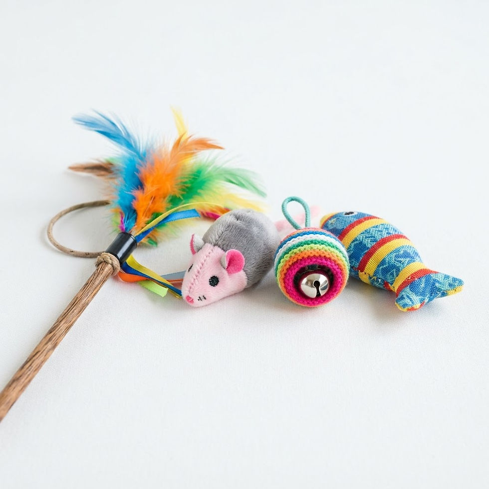 Cat Toy Bundle