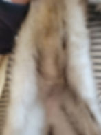 腹部はどこが悪かったか分からなくなってます