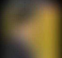 American Schools Produce Functional Ignoramuses