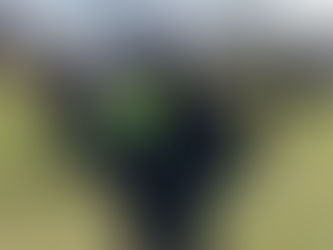 The Atlantic Suggests "Amnesty" For Pandemic Authoritarians