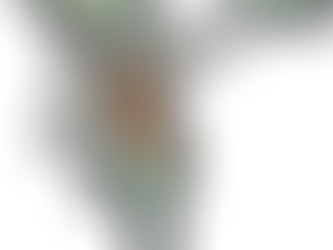 Lessons from Bikini Bottom