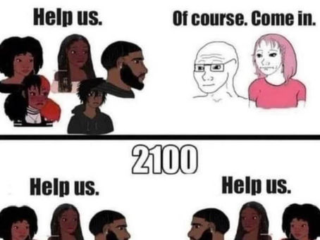 We'll Just Get Rid of All The Whites in The U.S.