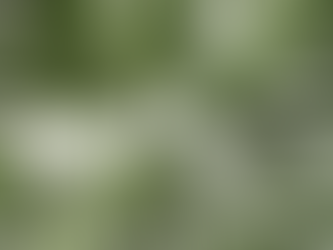 What Is The Ideal Political System For Any Given Nation?