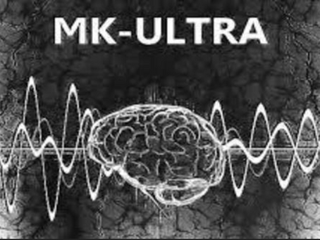 PUBLIC NOTICE: 'United States of America' suffered an Attempted Coup d'état By Co-Conspirator 'BLM'