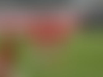 Top 125 "Quotes of Empowerment: Inspiring Words from WNBA Legends"