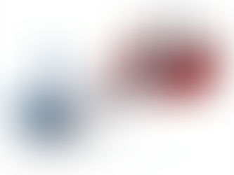 Identifying Emerging Leaders