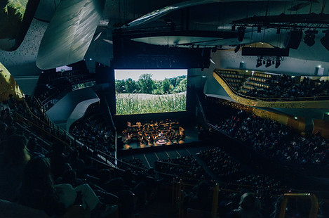 Microcosmos en ciné-concert le 29 mars 2025 à la Philharmonie de Paris