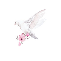 hghgjj.png