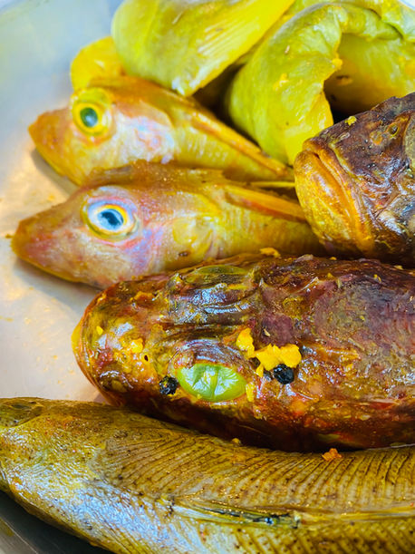 Bouillabaisse - April 2022