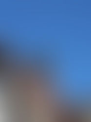 Stork Spottings in Alsace