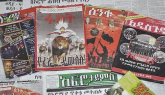 የፋክት፣ አዲስ ጉዳይ እና ሎሚ መጽሔት ሥራ አስኪያጆች በጽኑ እስራት እንዲቀጡ ተወሰነባቸው -