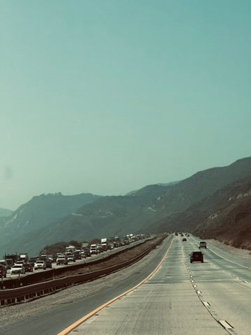 8A98F7FC-2105-4F44-BE1F-A879AC982D5E_4_5005_c.jpeg