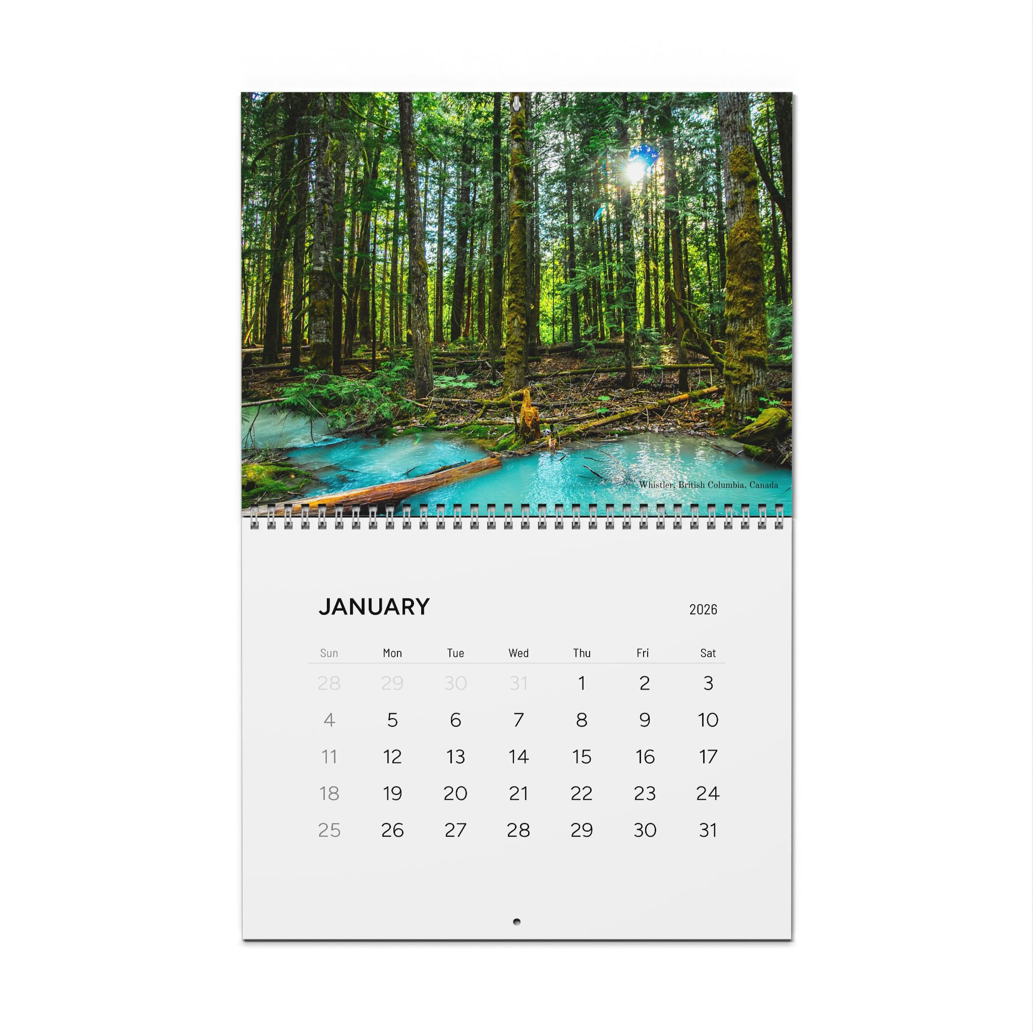 2026 Nature Wall Calendar — Scenic Forest & Wildlife Monthly Calendar