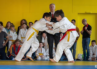 Wahlhilfe.li gefördert durch den Ideenkanal