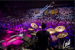 catsfdsfdsfsdfdfdfdsf