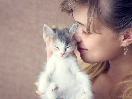 ¿Por qué la gente ama tanto a los gatos?