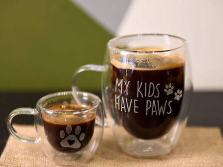 Friloo Café: el spot petfriendly donde el café se comparte con tu mejor amigo