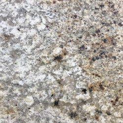 Colonial Gold 12 X 12