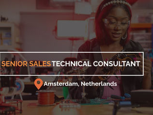 Senior Salesforce Technical Consultant with relocation and visa to Netherlands