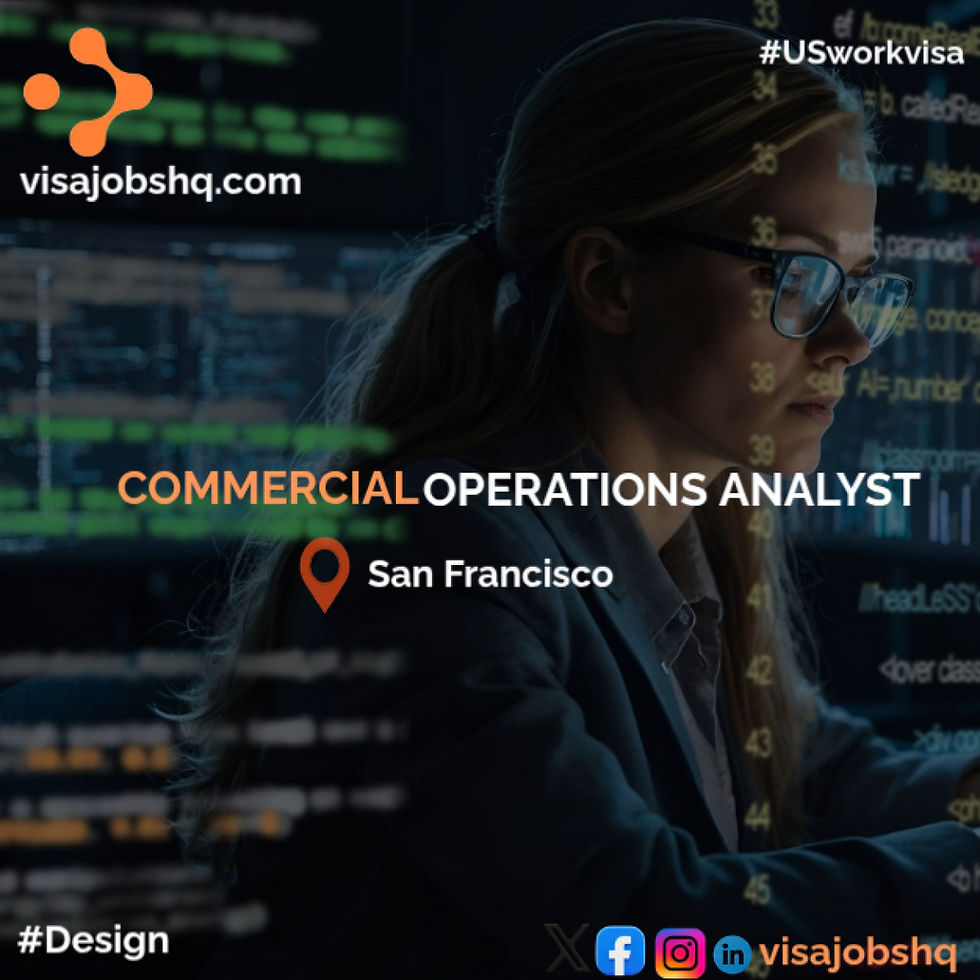 Commercial Operations Analyst in Tbilisi, Georgia, visa sponsorship provided