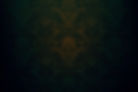 dark-green-wall-damask-backdrop.jpg
