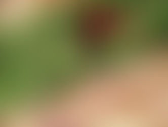 再現してみる。活用してみる。