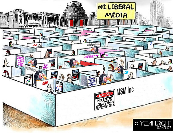 NZ Liberal Media Vulture Maze.jpg