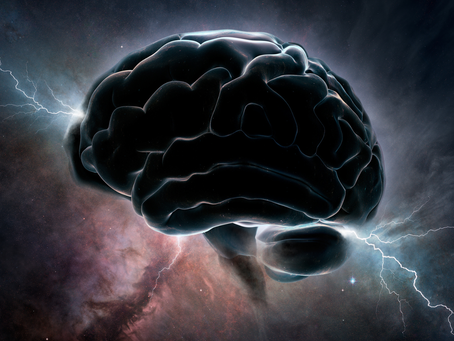 Wprowadzenie do Centralnego Układu Nerwowego