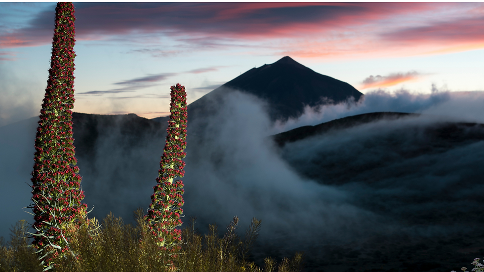 Wrażenia z Wizyty na Szczycie Góry Teide: W Innym Świecie na Wysokości