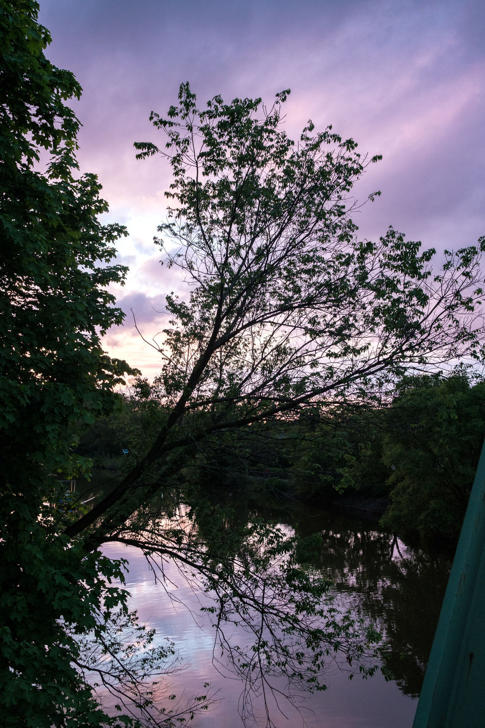 May 18 2024-3.jpg