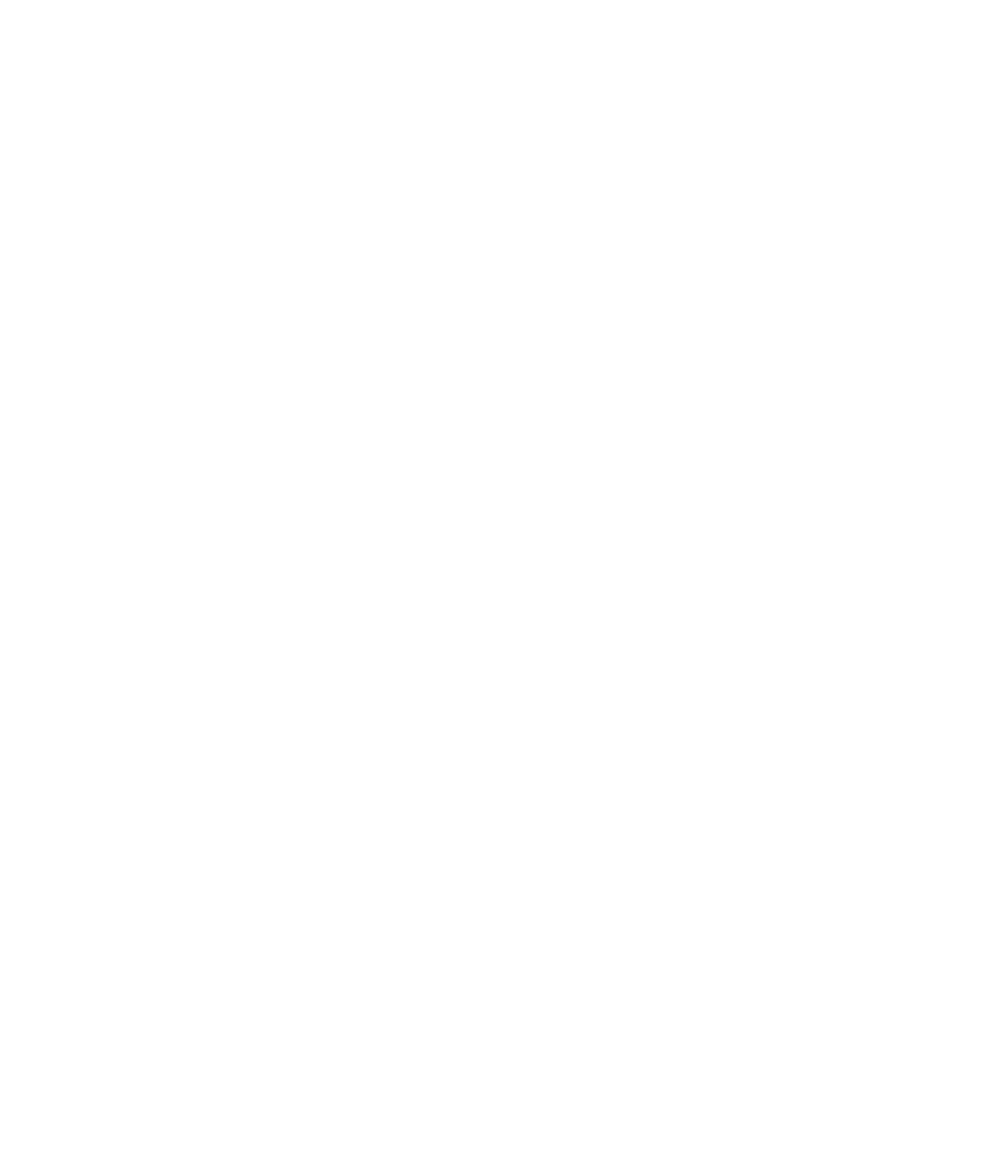 NY LIBERTY-WHITE.png
