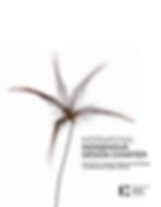 International Indigenous Design Charter