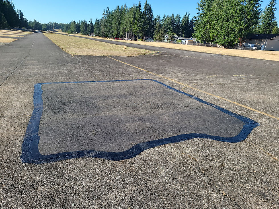 Full patch after making sure hole was clear of decomposing material.