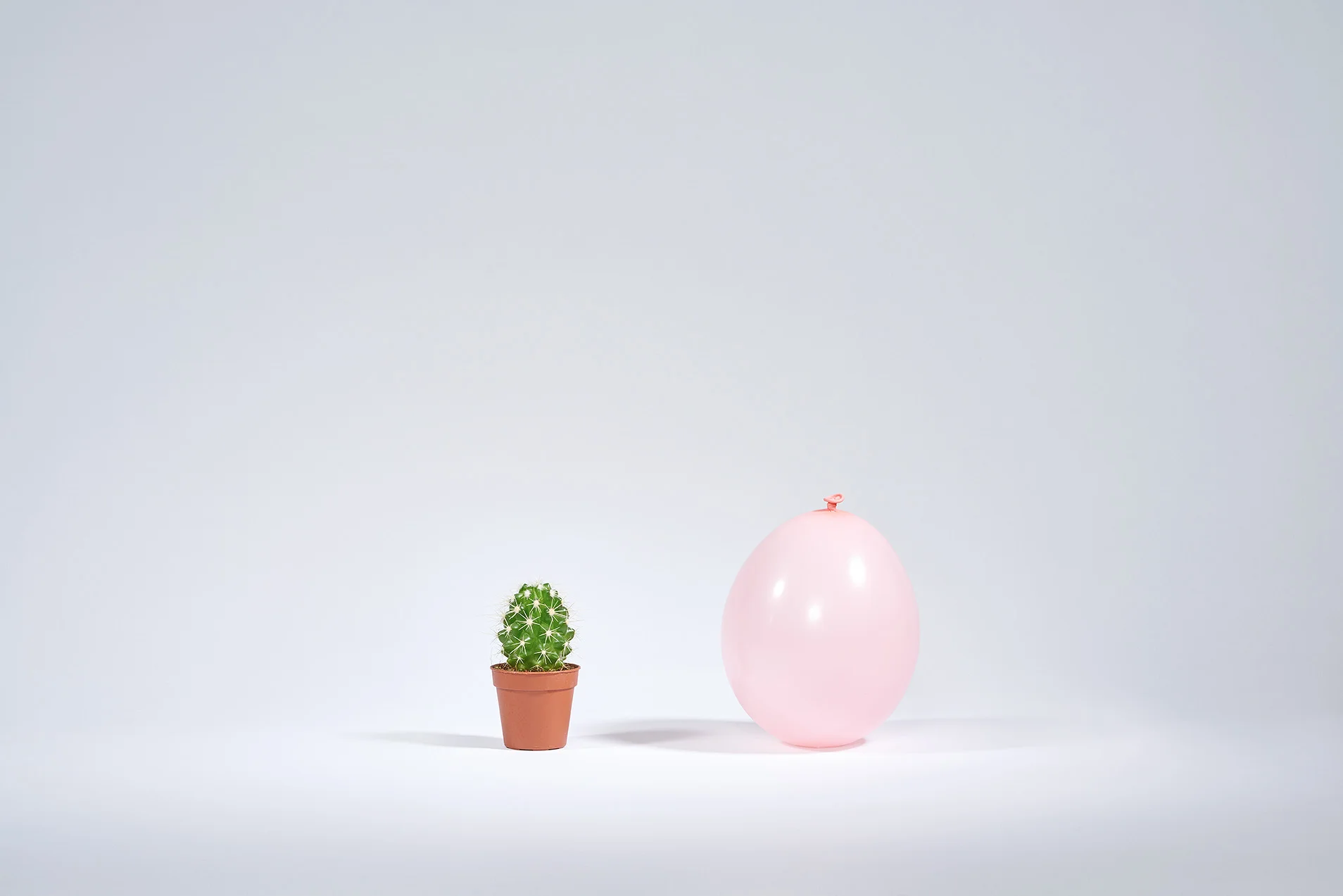 LITTLE THEATRE OF EVERYDAY THINGS #12 (small, large & XL format - 90 copies)