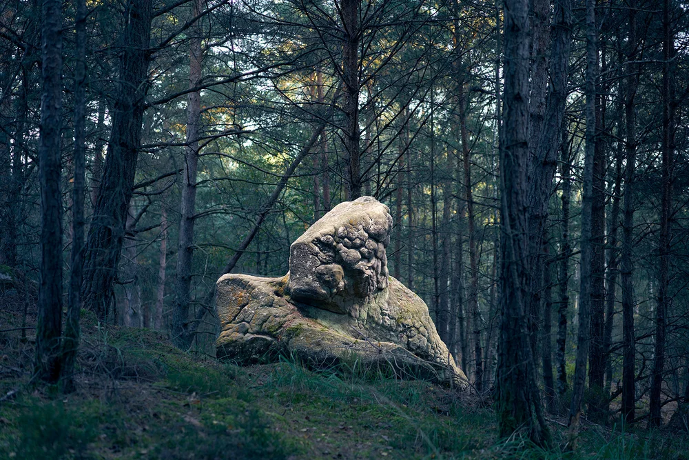 VESTIGES #01 (small, large & XL formats - 30 copies)