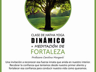 Primer encuentro de Practica + Meditacion