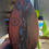 Thumbnail: Fire Petal Jarrah Planter