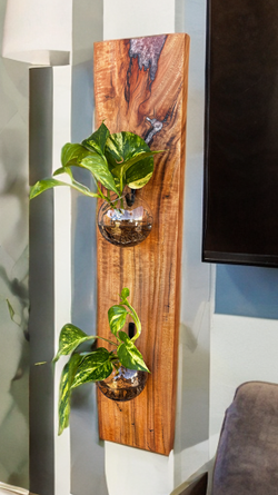 8C50B618-EBFB-4864-966C-6A1DD8621F5C