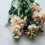 Thumbnail: Matthiola incana 'Salmon' (Zomer violier)