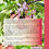 Thumbnail: Fruit plukken, Matthias Kleingeld en Richard Walraven
