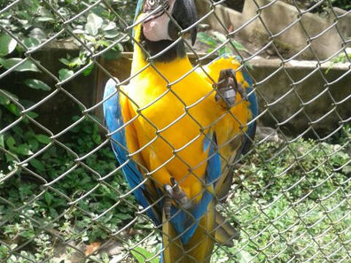 VIAJE A LA SENDA VERDE OCTAVO SEMESTRE