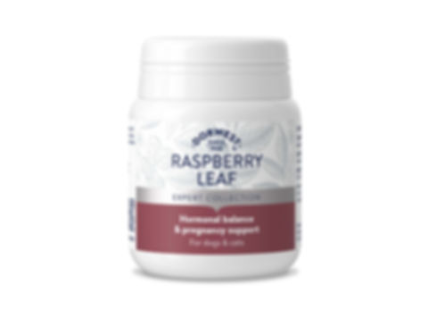 Raspberry Leaf Tablets - Dorwest Herbs
