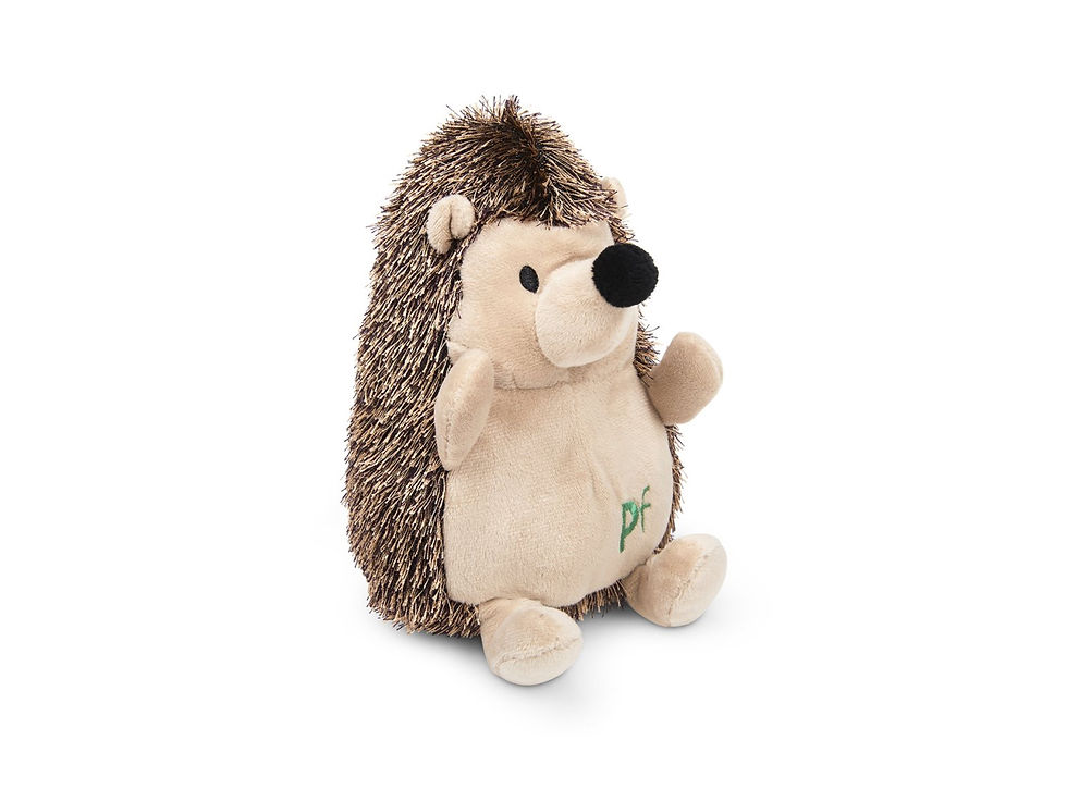 petface heston hedgehog stuffed squeaky dog toy puppy toy